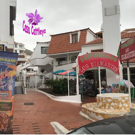 Casa Cattleya
