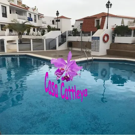 Apartamento Casa Cattleya *